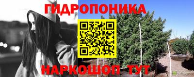 тгк Аша