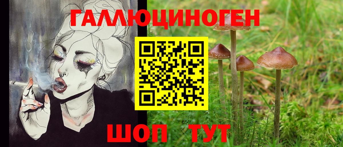 Галлюциногенные грибы прущие грибы Ногинск