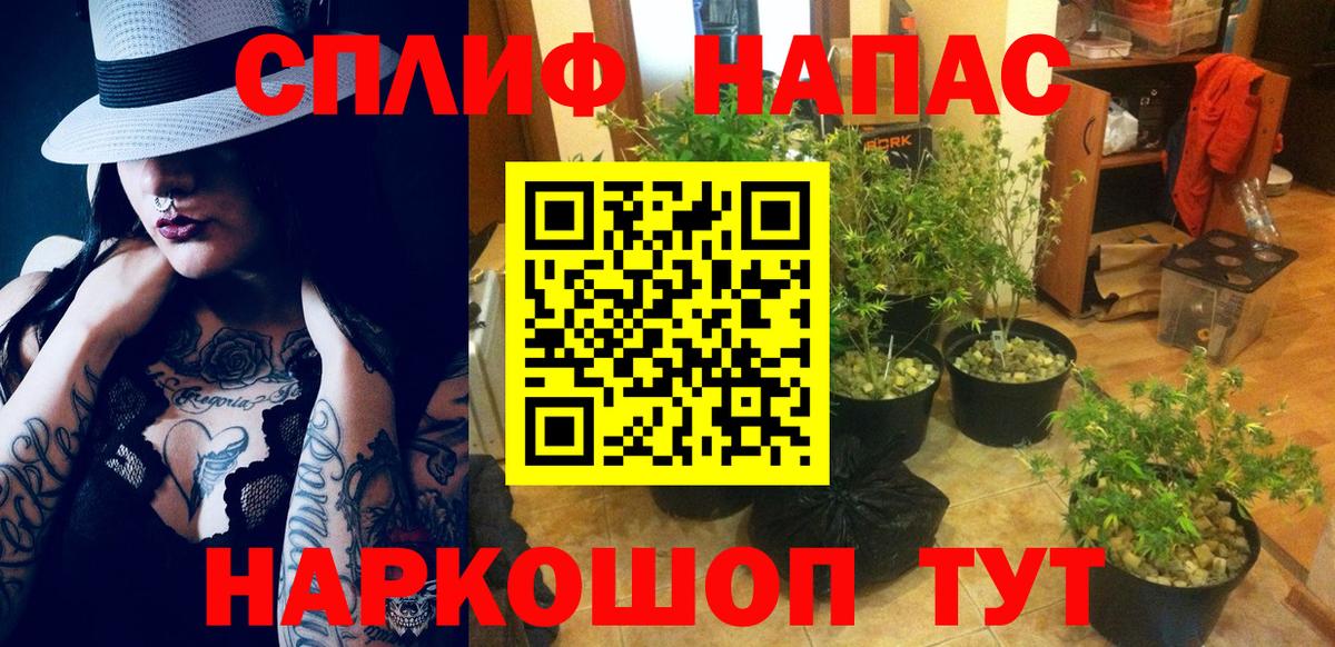 МАРИХУАНА семена Ногинск